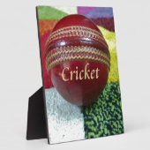 Cricket das Spiel, das wir Liebe zu spielen, zu es Fotoplatte (Seite)