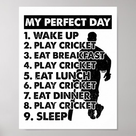 Cricket Day Plan Cricket Player  Poster (Vorne)