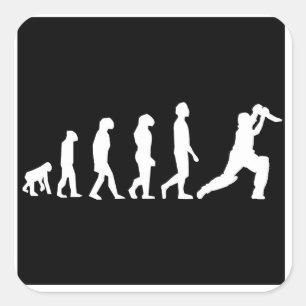 Cricket-Evolution Quadratischer Aufkleber