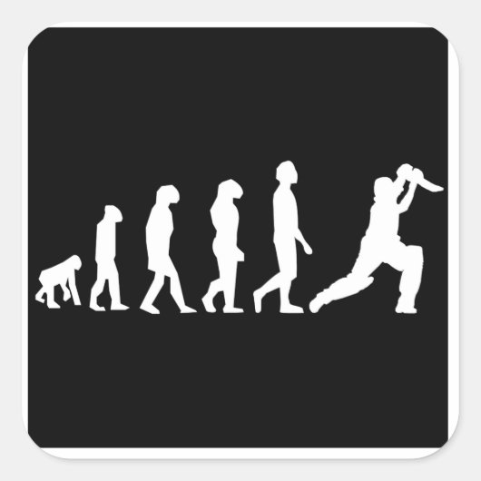 Cricket-Evolution Quadratischer Aufkleber (Vorderseite)