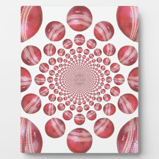 Cricket Fotoplatte (Vorderseite)