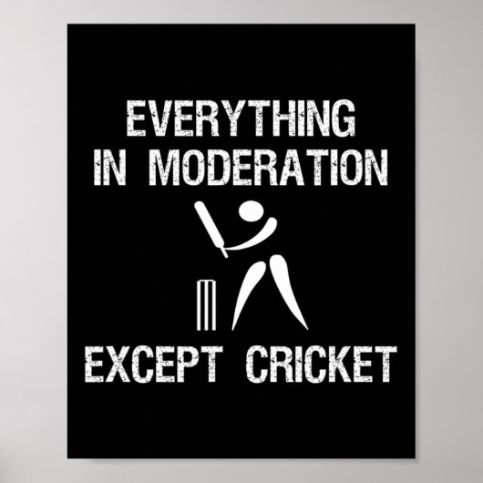 Cricket Game - Funny Moderation - Player  Poster (Vorne)