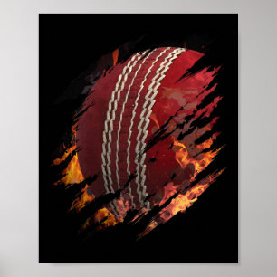 Cricket Ll In Flammen In Mir Fan Oder Tsman Spiele Poster