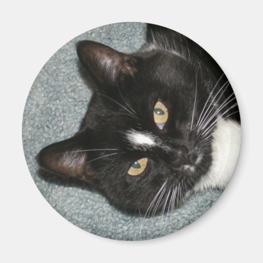 Cricket Magnet (Vorne)