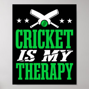 Cricket Männer Cricket Spieler Poster