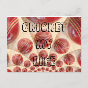 Cricket Mein Leben Ich liebe Cricket Sport Postkar Postkarte