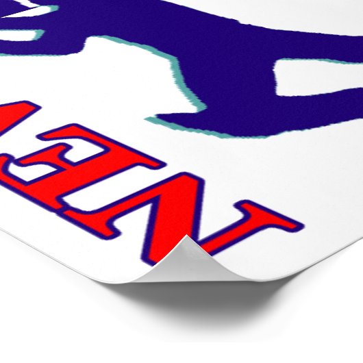 Cricket New Zealand Poster (Ecke)