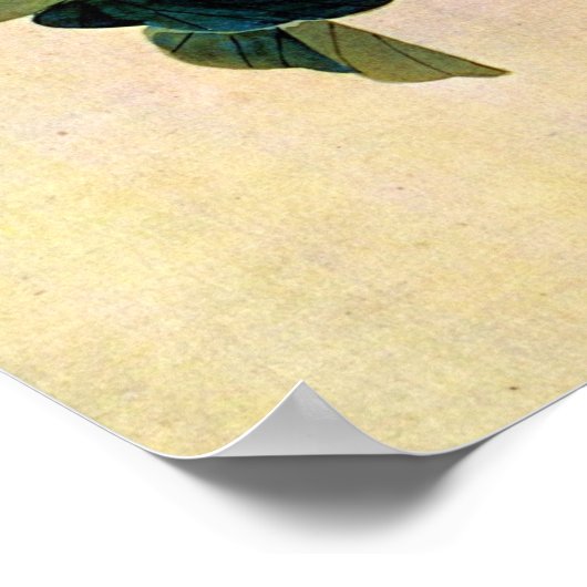 Cricket on Vine Japanese Woodblock Art Ukiyo-E Poster (Ecke)