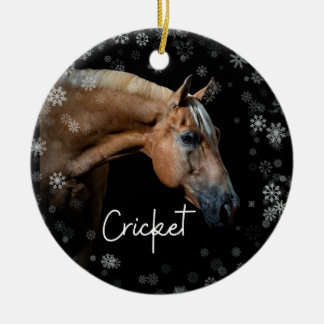 Cricket-Ornament Keramik Ornament
