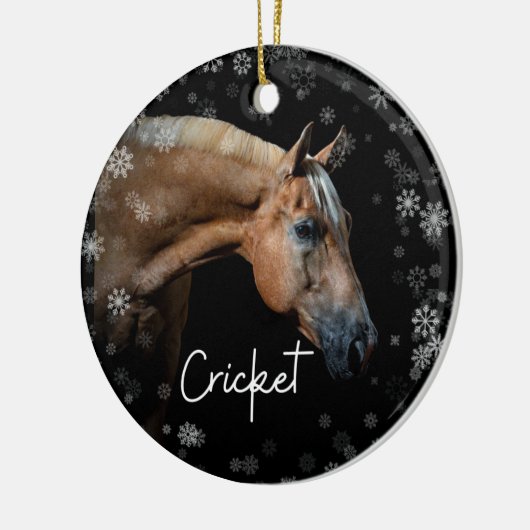 Cricket-Ornament Keramik Ornament (Links)