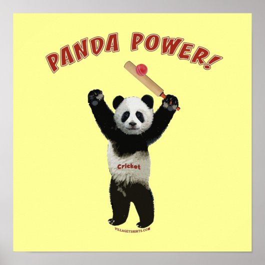 Cricket Panda Power Poster (Vorne)