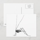 Cricket Postkarte (Vorne/Hinten)
