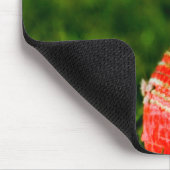 Cricket Red Ball Funny Motivierend Mousepad (Ecke)