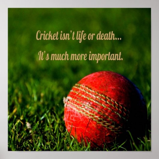 Cricket Red Ball Funny Motivierend Poster (Vorne)