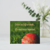 Cricket Red Ball Funny Motivierend Postkarte (Stehend Vorderseite)