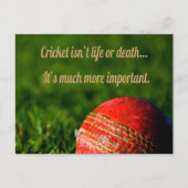 Cricket Red Ball Funny Motivierend Postkarte (Vorderseite)
