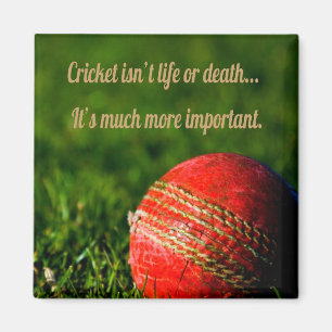 Cricket rote Ball lustig motivierend Magnet