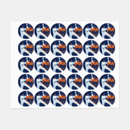 Cricket Stickers 2024 Etiketten