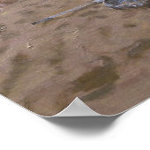 Cricket Teignmouth Poster (Ecke)