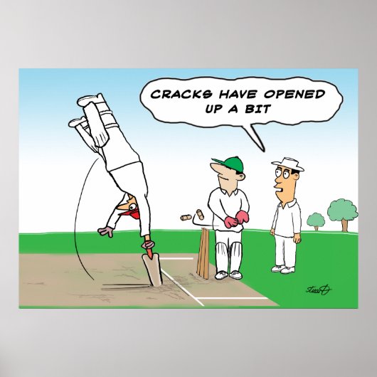 Cricket Wicket - Funny Cricket Poster (Vorne)