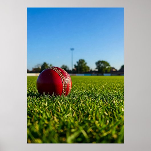 Cricketball auf der Grenzmarkierung Poster (Vorne)