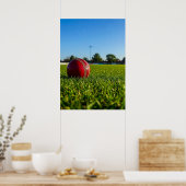 Cricketball auf der Grenzmarkierung Poster (Küche)