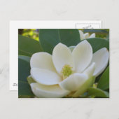 CricketDiane Süd Magnolias Postkarte (Vorne/Hinten)