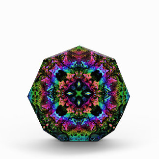 Crickets Pride Fotoblock