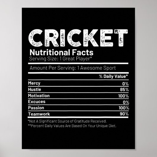 Cricketspieler-Geschenk für Männer Poster (Vorne)