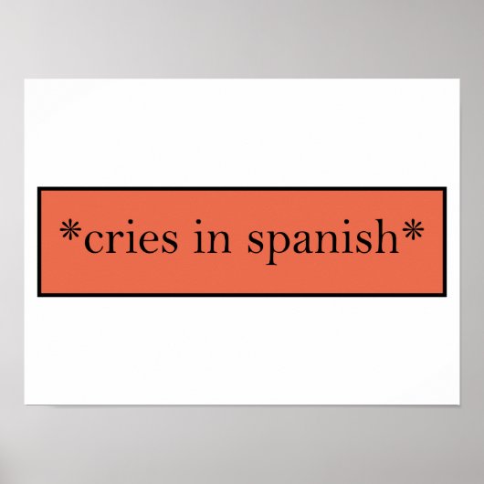 Cries in Spanisch - Funny Sarcastic Meme Poster (Vorne)