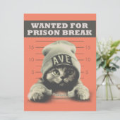 Crime Kitty Karte (Stehend Vorderseite)