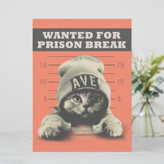 Crime Kitty Karte (Stehend Vorderseite)