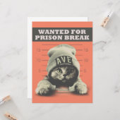 Crime Kitty Karte (Vorderseite/Rückseite Beispiel)