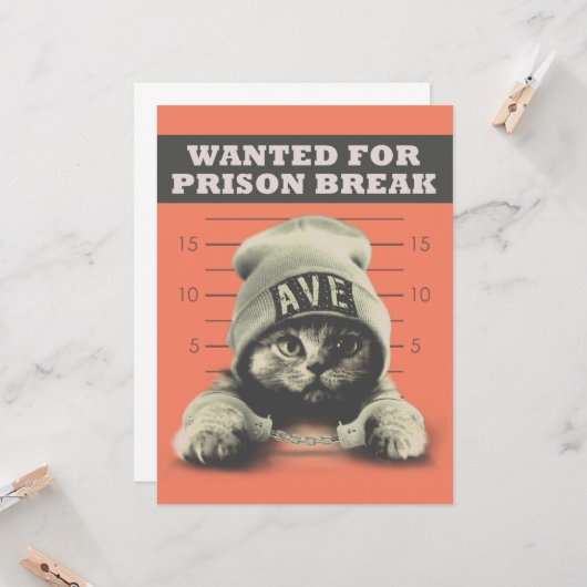 Crime Kitty Karte (Vorderseite/Rückseite Beispiel)