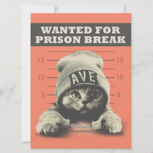 Crime Kitty Karte (Vorderseite)