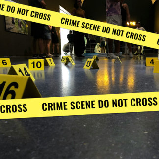 CRIME SCENE Polizei-Bandkriminalität KEIN KREUZ Satinband