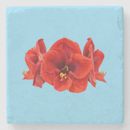 Crimson Amaryllis-Blüte – Elegante botanische Blüt Steinuntersetzer
