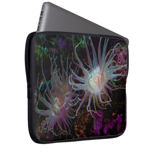 Crimson Anemone Laptopschutzhülle (Vorne Rechts)