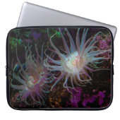 Crimson Anemone Laptopschutzhülle (Vorderseite)