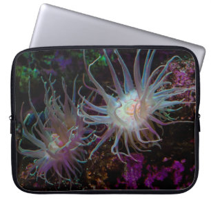 Crimson Anemone Laptopschutzhülle