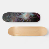 Crimson Anemone Skateboard (Horizontal)