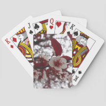 Crimson Beauty Cards