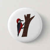 Crimson Bellied Woodpecker Button (Vorderseite)
