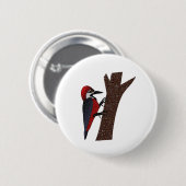 Crimson Bellied Woodpecker Button (Vorne & Hinten)