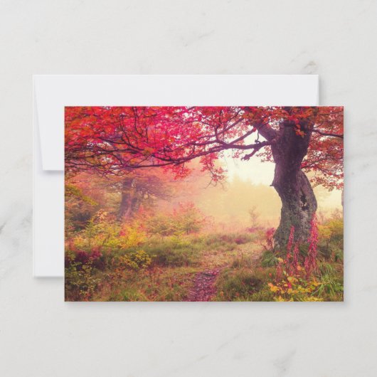 Crimson Blätter Fall Weddinhg Einladung UAWG (Rückseite)