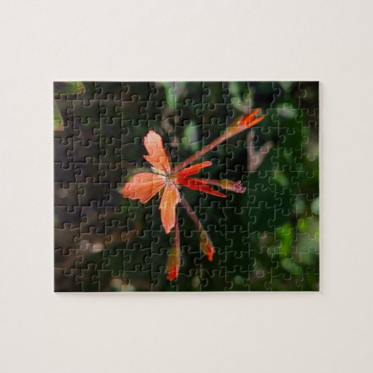 Crimson Bloom – Nature’s Petal Symphony Puzzle (Horizontal)