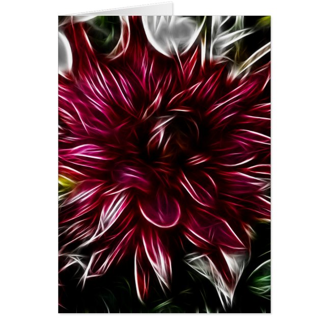 Crimson-Blume (Vorne)