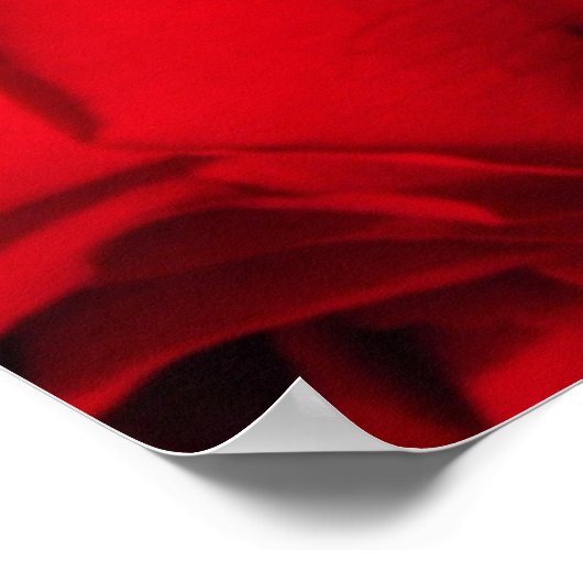 "Crimson Bouquet" Poster (Ecke)