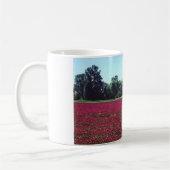 Crimson Clover Field Kaffeetasse (Links)
