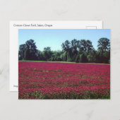 Crimson Clover Field Postkarte (Vorne/Hinten)